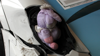 If All Else Fails, Blame Fluffy Bunny For Your Race Car's Problems
